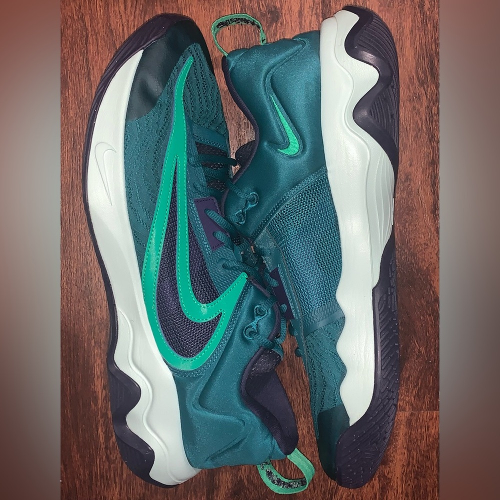 NEW NIKE SIZE 13 MEN GREEN AND BLUE SHOES GIANNIS BASKETBALL